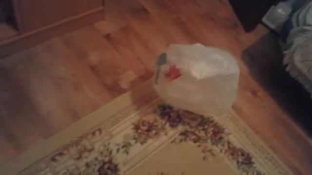 привет канал вместе с Айгерим