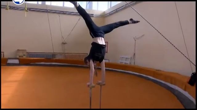 ВСВ в цирке