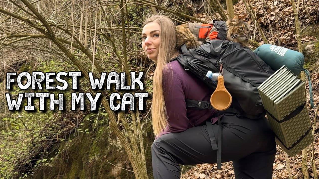 Прогулка по лесу с моим котом 🐾 Готовлю лосось со сливками и кофе у реки | КАК МИСТЕР Соло отдыхает смотреть онлайн