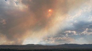 Камень сердца (песня под гитару)