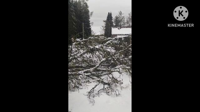 Катастрофа на даче. смотреть онлайн