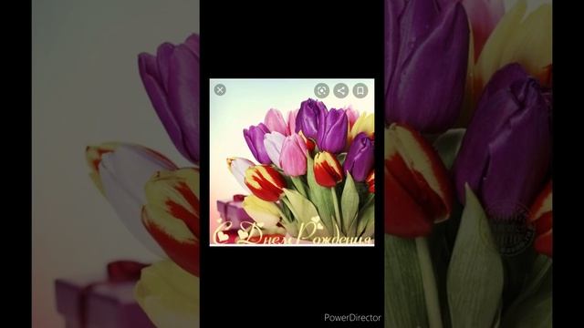 С днём рождения!!! смотреть онлайн