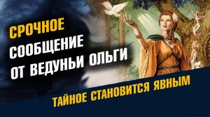 Срочное сообщение от Ведуньи Ольги на Май 2025