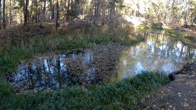 Живописный карьер в парке смотреть онлайн