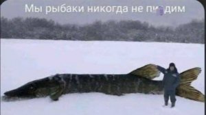 Эпичные придурки #7