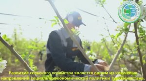 В Туркменистане уделяют особое внимание развитию сельского хозяйства