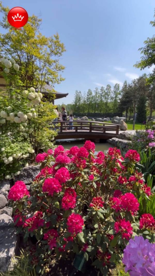 🤩Сюда хотят попасть Все май 2025 Японский сад в парке Галицкого Краснодар. смотреть онлайн