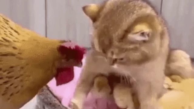 А.ГРЕЧКИН-Приходи.mp4