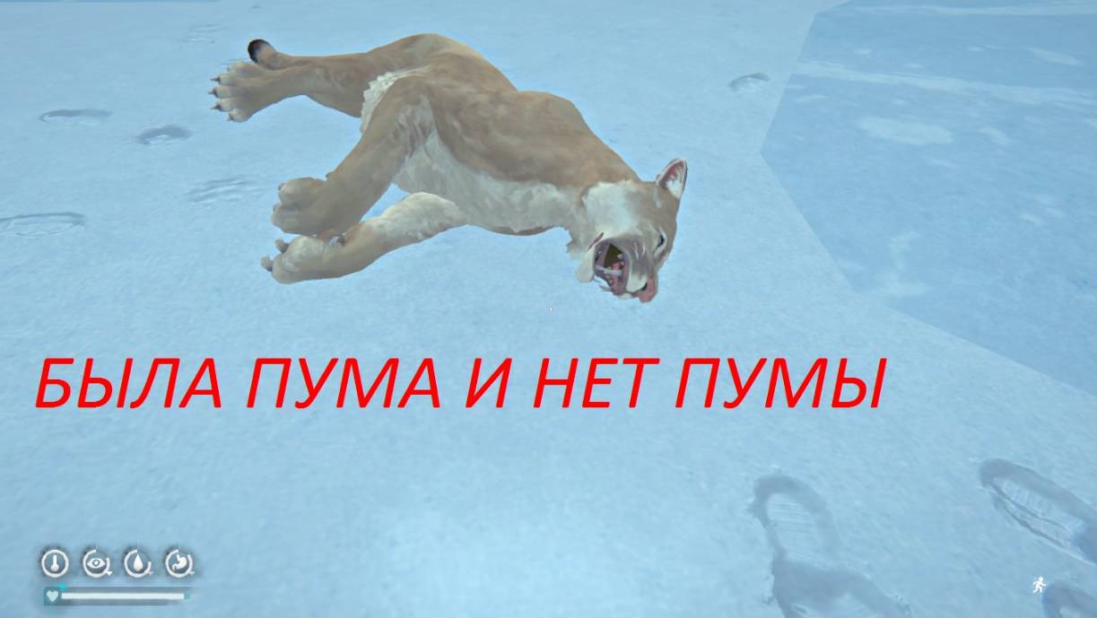 THE LONG DARK.ПУМА ПОЯВИЛАСЬ.ОХОТИМСЯ НА НЕЁ.ПРОХОЖДЕНИЕ ЧАСТЬ 12*