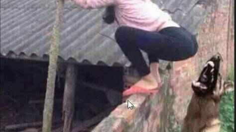 Эпичные придурки #3 смотреть онлайн