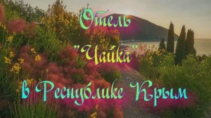 Отель «Чайка» в Республике Крым