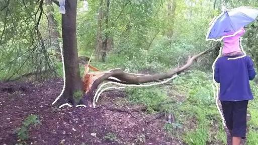 ⛈️"У природы НЕТ плохой ПОГОДЫ", или есть? | Заморозки и др. неприятности (7 серия) | Ежевичный сад