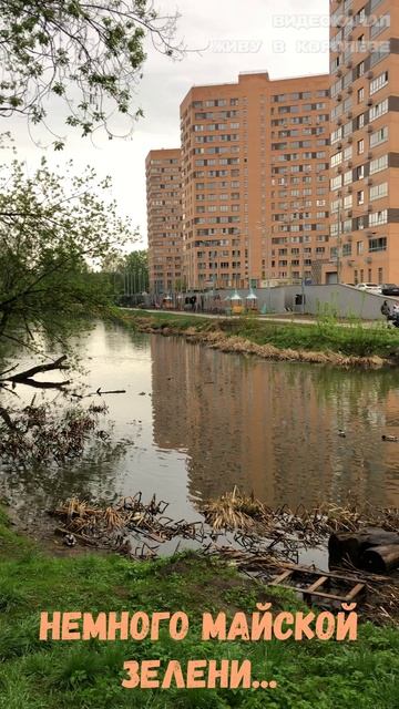 Нашла место, с которого наш ЖК очень классно смотрится! смотреть онлайн