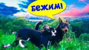 Побег ради любви 🏃♂️❤️ Тайное приключение начинается!