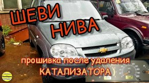 Шеви Нива с механическим дросселем. Прошиваем под евро2, отключаем катализатор, увеличиваем динамику