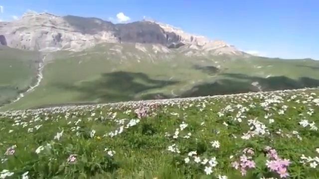 Qusar . Yerğikek . Azerbaycan. #mountain #azerbaijan #qusar #lovemountains #горы #kavkaz смотреть онлайн