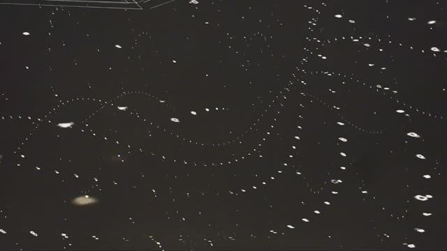 Time Dimensional Disco Stomp