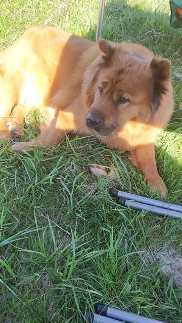 рыжаяя красотка Рита