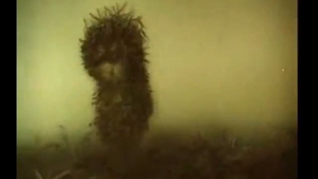 Ёжик в тумане смотреть онлайн