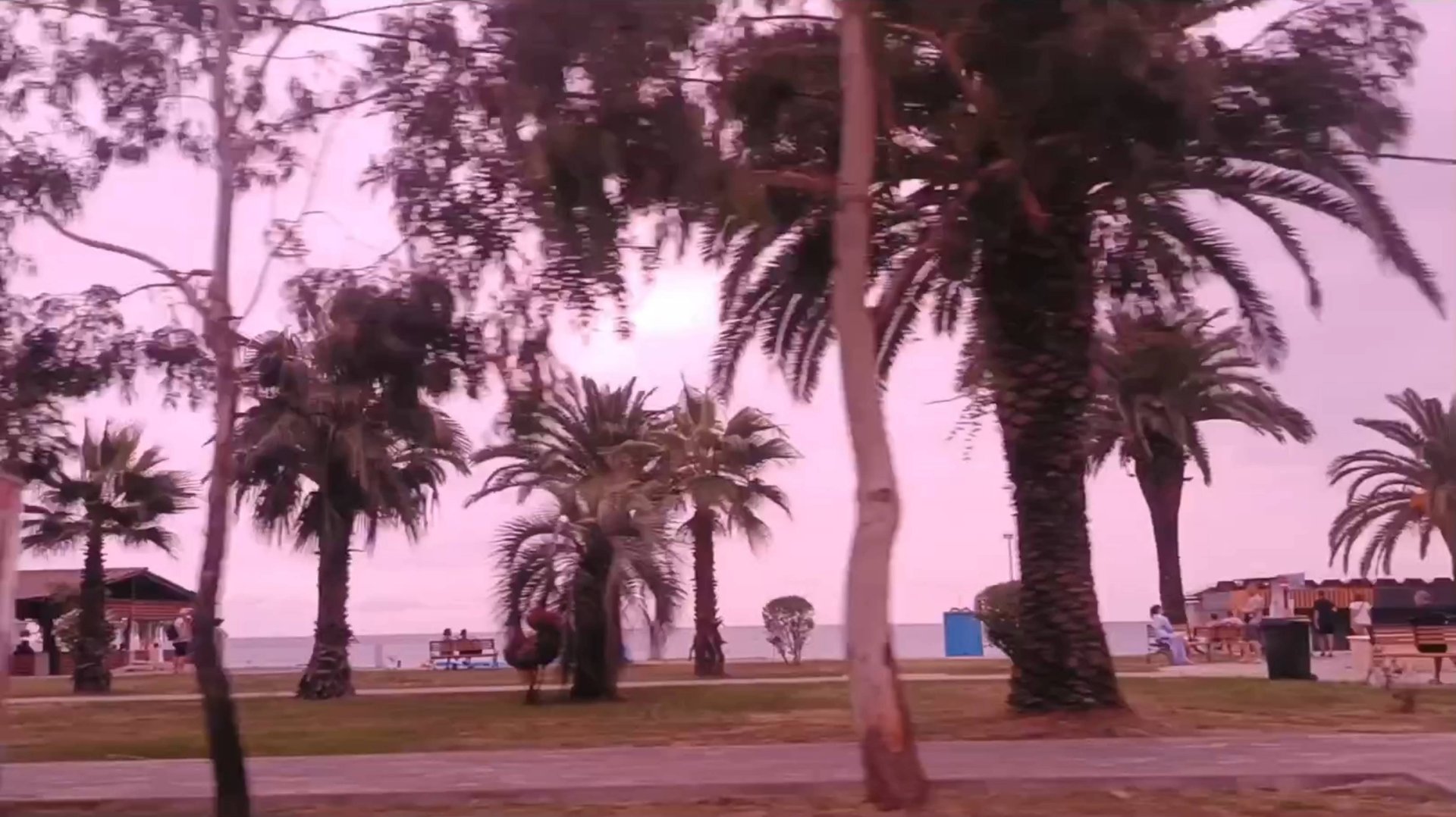 АБХАЗИЯ. ГАГРА. ЕДЕМ ПО ПРОСПЕКТУ В.АРДЗИНБА