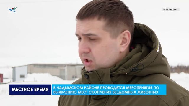 Проводятся мероприятия по выявлению мест скопления бездомных животных