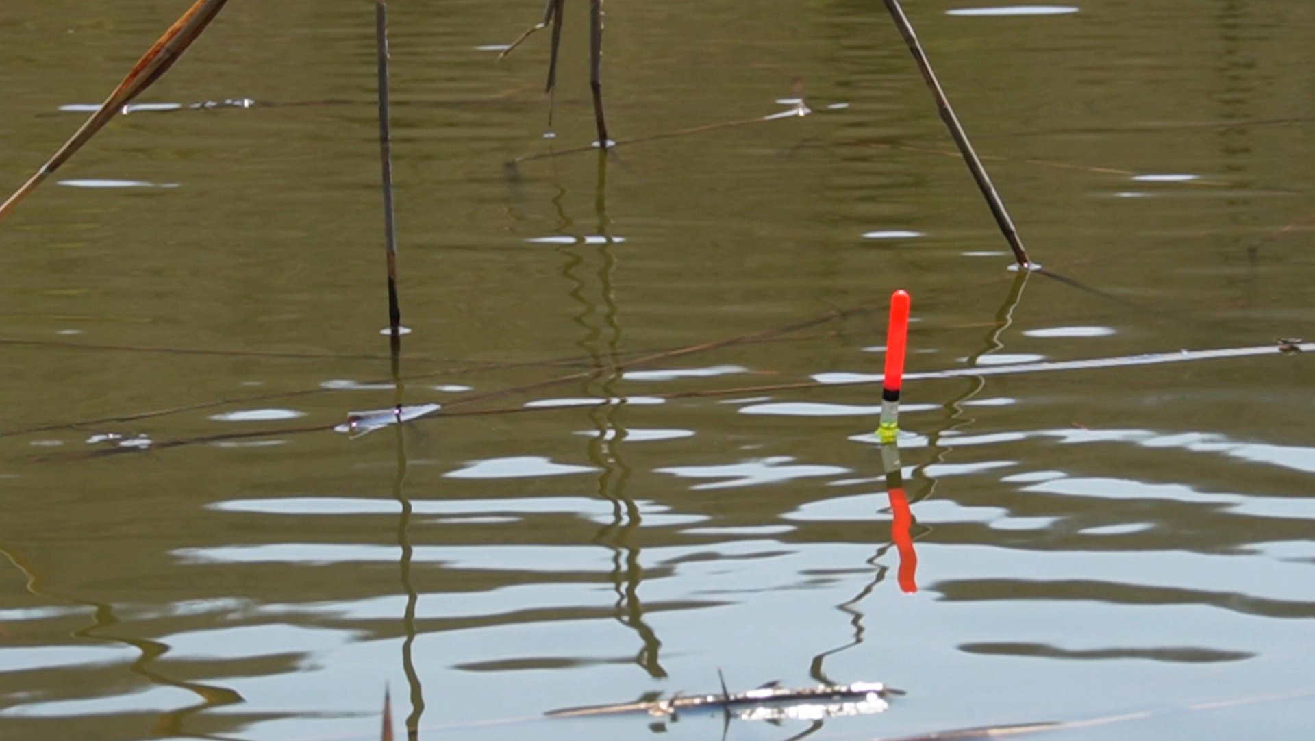 Ловля Карася Весной! Карась на поплавок в мае. смотреть онлайн