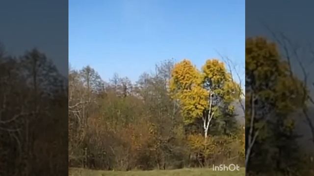 Imran Usmanov _ Дарта