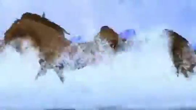 Детская песенка про юную лошадь смотреть онлайн