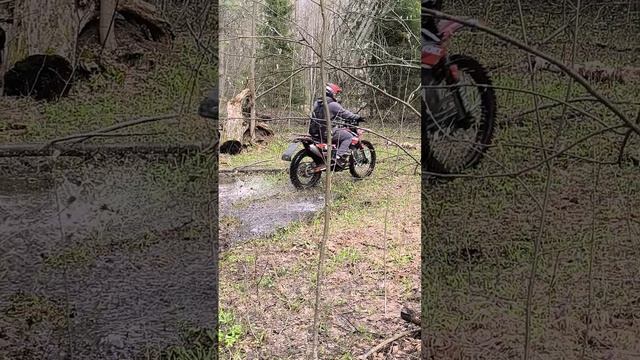 Sycmcc 300 про мот.