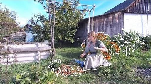 🍉ЛЕТО в ДЕРЕВНЕ | Урожай, заготовки на зиму, ремонт беседки (8 серия) || Ежевичный сад