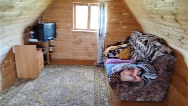 Petal_20250505_230223.mp4