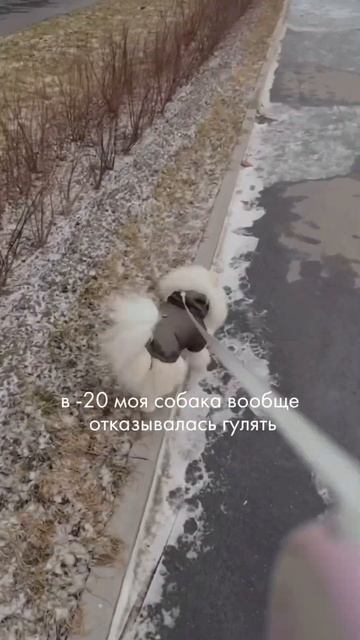 18 марта 2024 г.