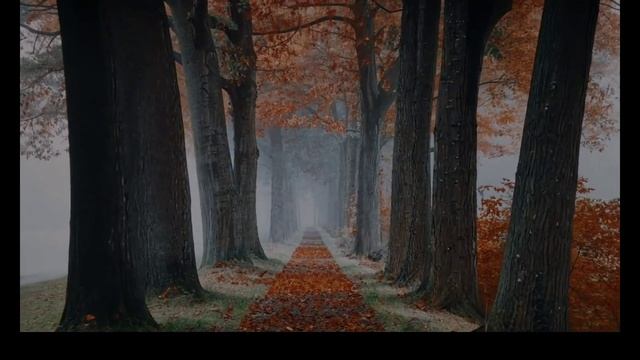 DJ Lava - And life isn't that long (track excerp) смотреть онлайн