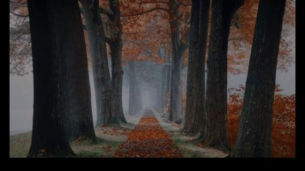 DJ Lava - And life isn't that long (track excerp)