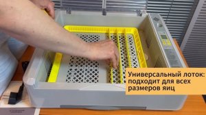 Автоматический инкубатор HHD 36 с овоскопом