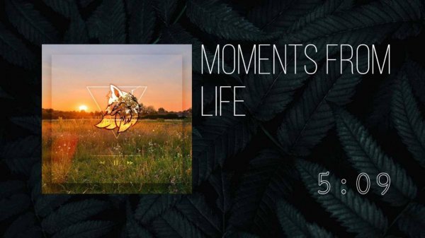 8⃣ ▷ Moments From Life