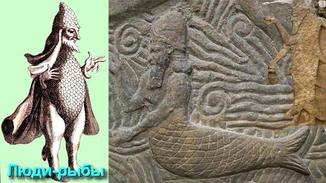 Ответы на Вопросы по Эзотерике от 05.05.25 Часть 2 смотреть онлайн