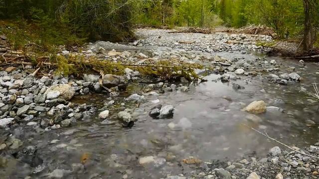 03 Школа Веры Урок 14 Как искать Бога, чтобы получить воздаяние смотреть онлайн