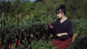 Вкусная, острая, аппетитная Душа сычуаньской кухни — Доубаньцзян