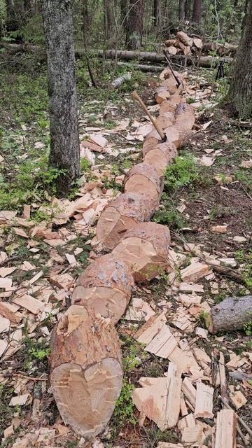 Зимняя и летняя рубка топором. смотреть онлайн