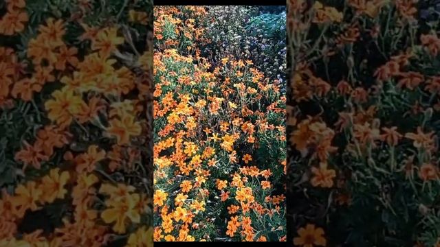 ТУГАН АВЫЛЫМ смотреть онлайн
