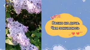 Песня В. Казаченко.Весна на даче. Я и наш огород.