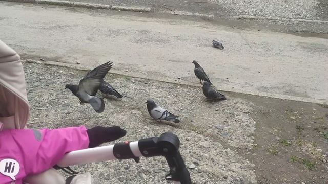 На прогулке с Алисой. смотреть онлайн