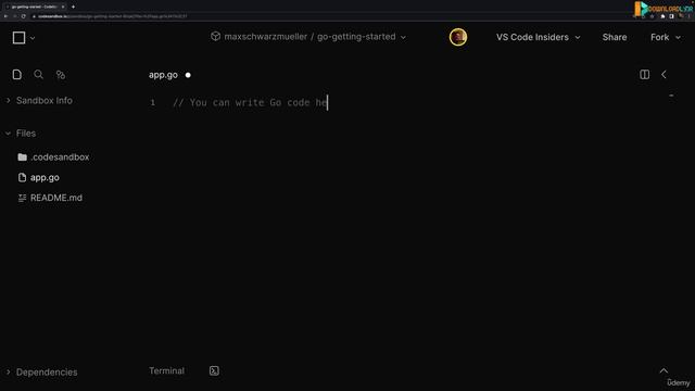 003 Installing Go (Alternative Web-based Setup) смотреть онлайн