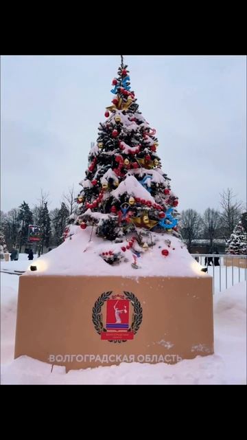 Форум-выставка на ВДНХ «Россия»🤍💙❤️ смотреть онлайн