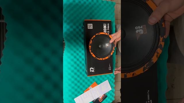 Обзор на динамики Gryphon Pro 200 Neo