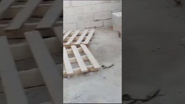 #россия#питер#строительство#best #follow #video #shortshorts смотреть онлайн