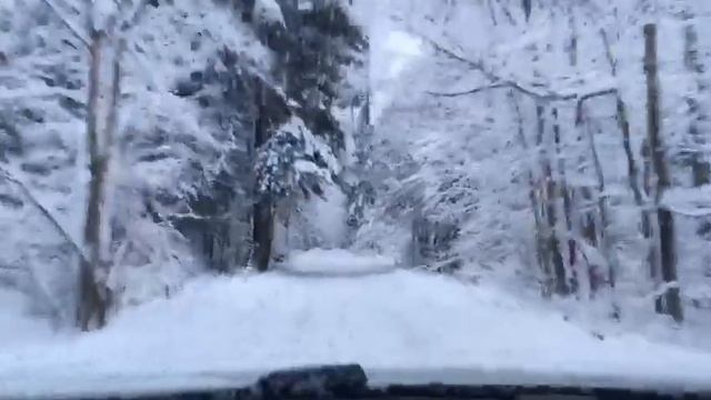 дорога в КМ (Лосиный остров) смотреть онлайн