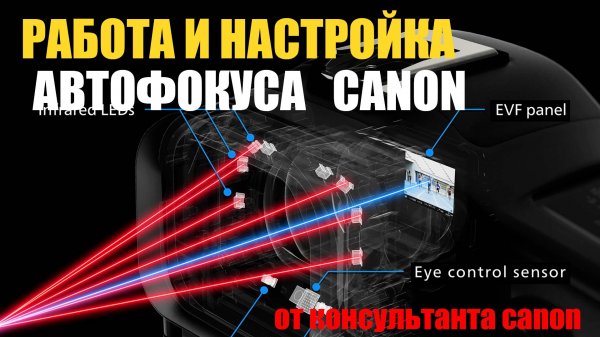 консультант canon рассказывает о работе автофокуса и настройке AF