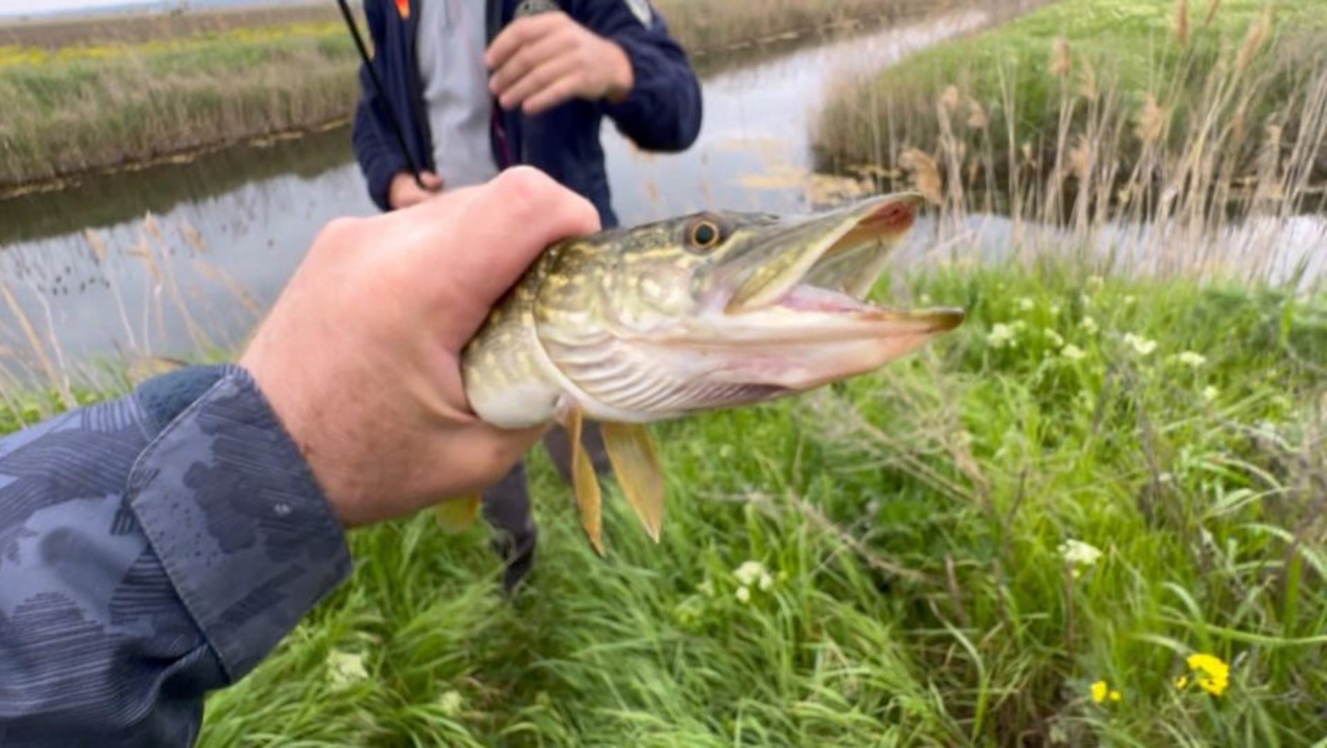 Рыбалка на реке Кубань. Ловим щуку. смотреть онлайн